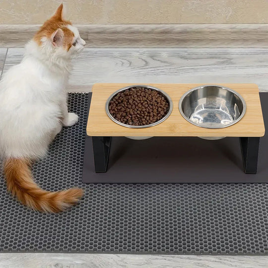 Gamelle orthopédique chat sur support incliné 15° ergonomique