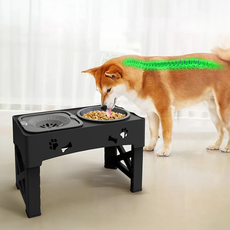 Gamelle orthopédique chien avec bol anti-glouton intégré noir