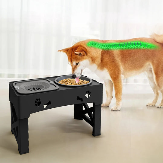 Gamelle orthopédique chien avec bol anti-glouton intégré noir