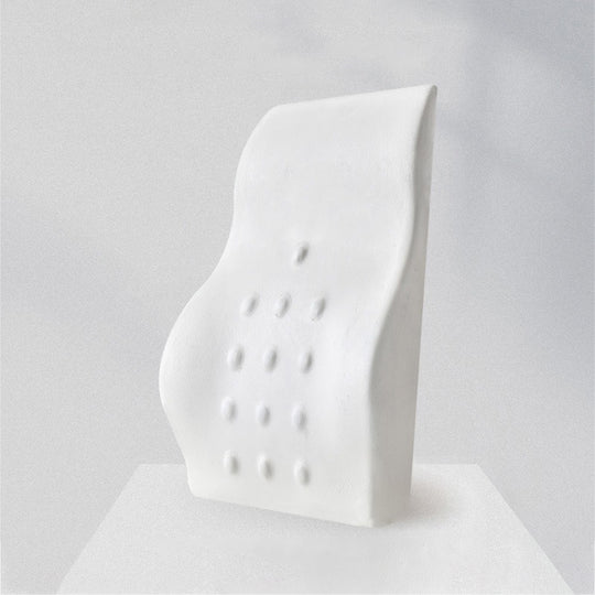 Coussin orthopédique dos ergonomique pour siège de bureau