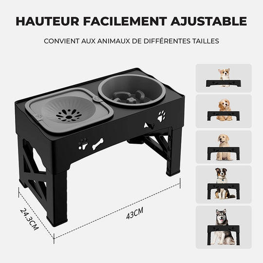 Gamelle orthopédique chien avec bol anti-glouton intégré