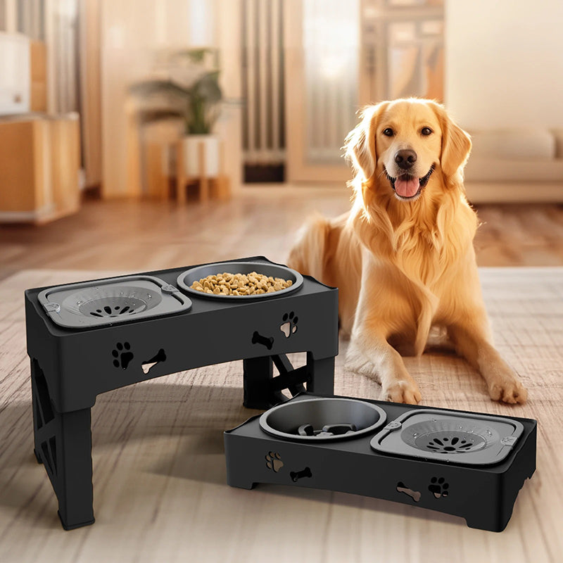 Gamelle orthopédique chien avec bol anti-glouton intégré double gamelle