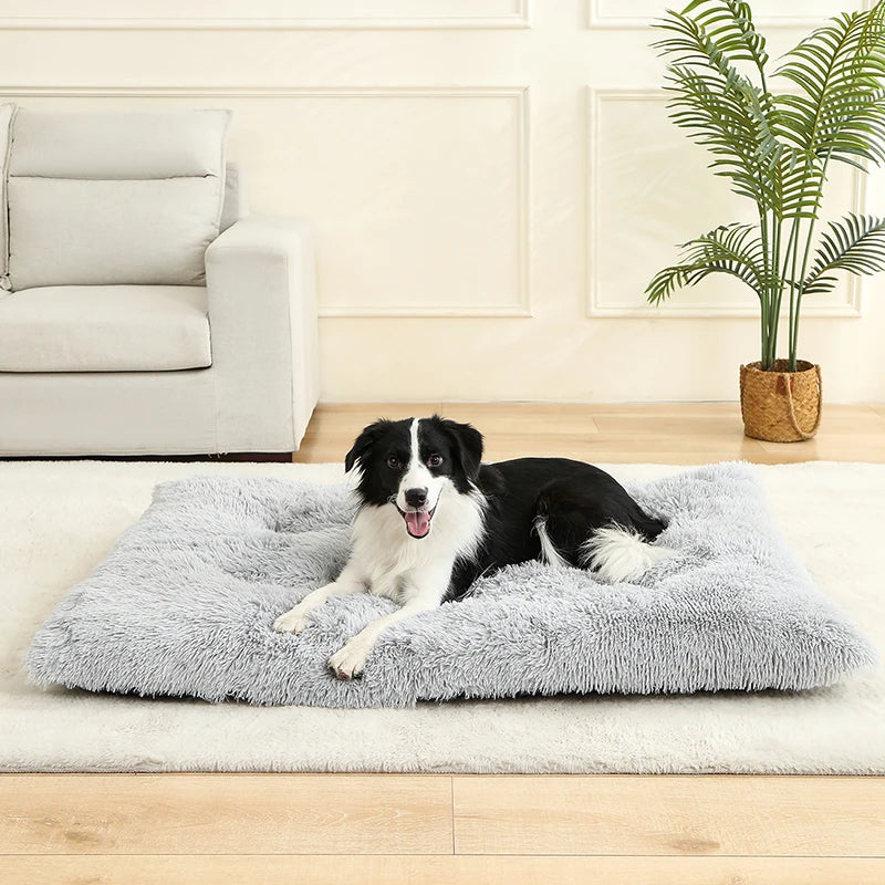 Tapis orthopédique chien doux et moelleux pour intérieur