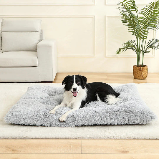 Tapis orthopédique chien doux et moelleux pour intérieur