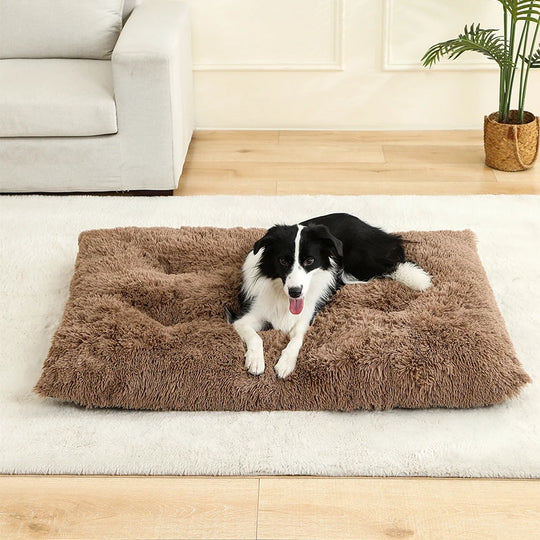 Tapis orthopédique chien doux et moelleux pour intérieur
