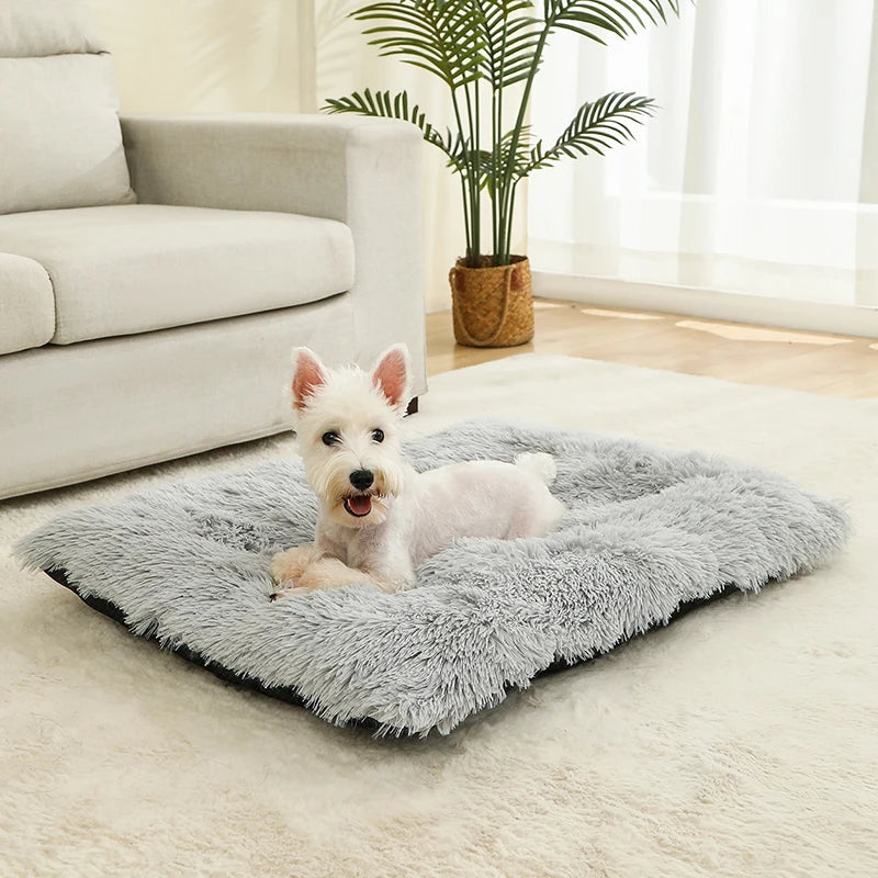 Tapis orthopédique chien doux et moelleux pour intérieur
