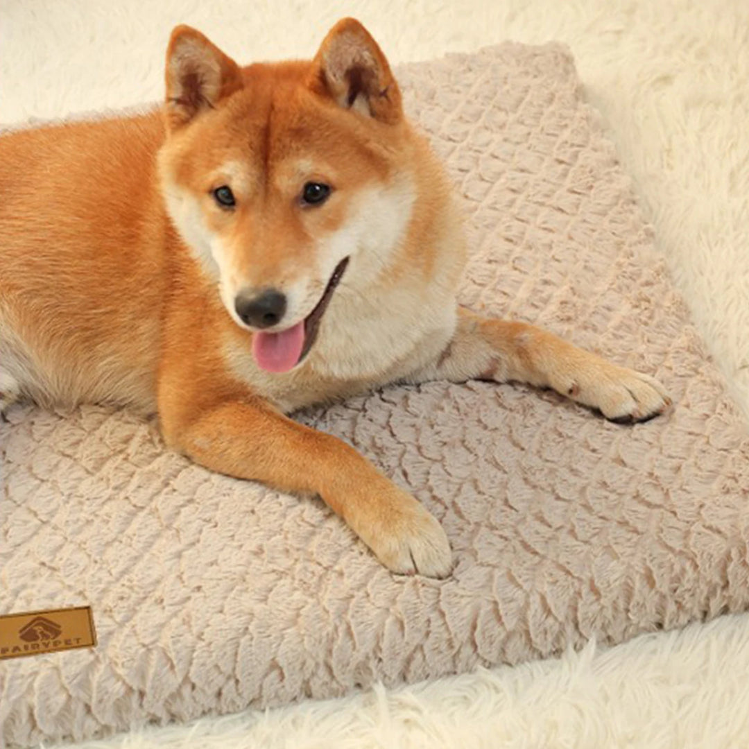 Tapis orthopédique chien déhoussable et lavable