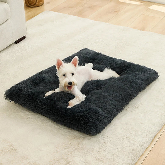 Tapis orthopédique chien doux et moelleux pour intérieur