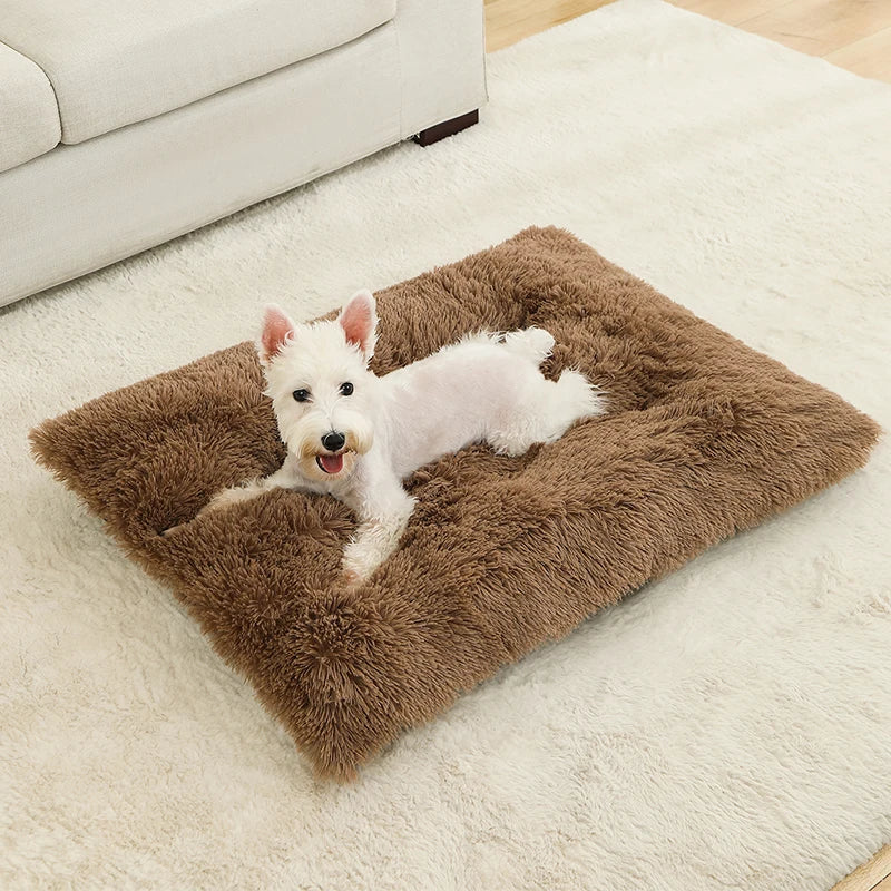 Tapis orthopédique chien doux et moelleux pour intérieur