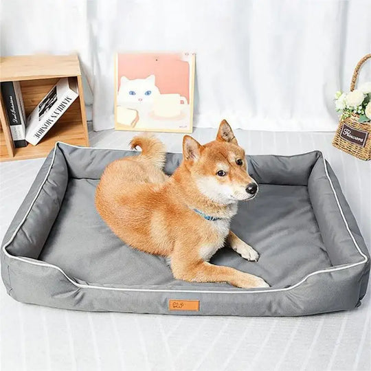 Panier orthopédique chien amovible et imperméable