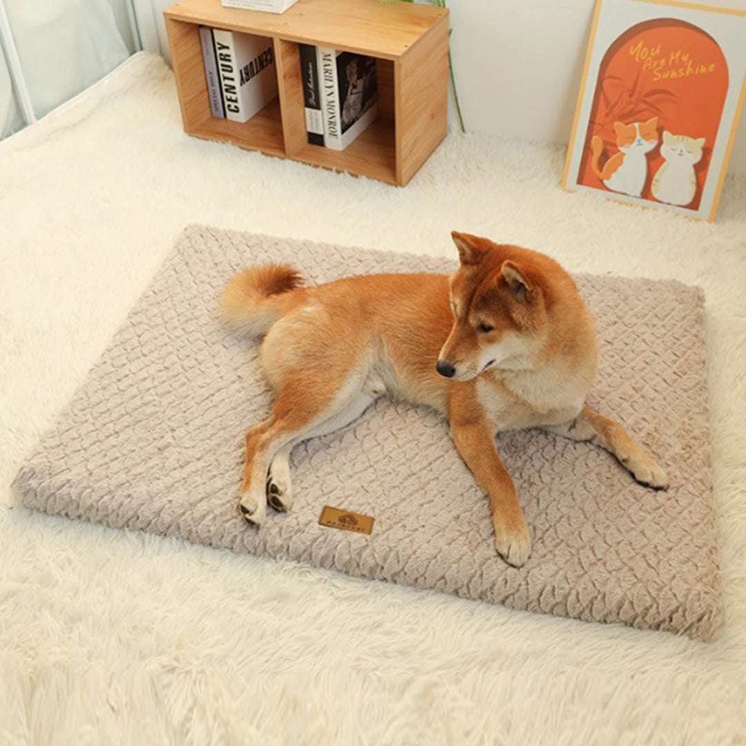 Tapis orthopédique chien déhoussable et lavable
