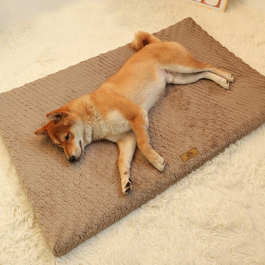 Tapis orthopédique chien déhoussable et lavable