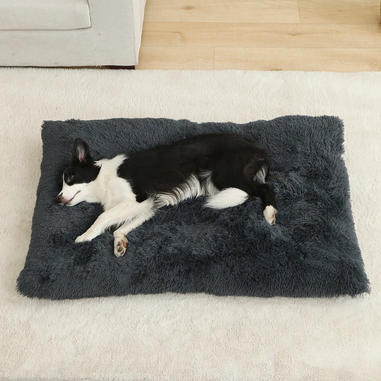 Tapis orthopédique chien doux et moelleux pour intérieur