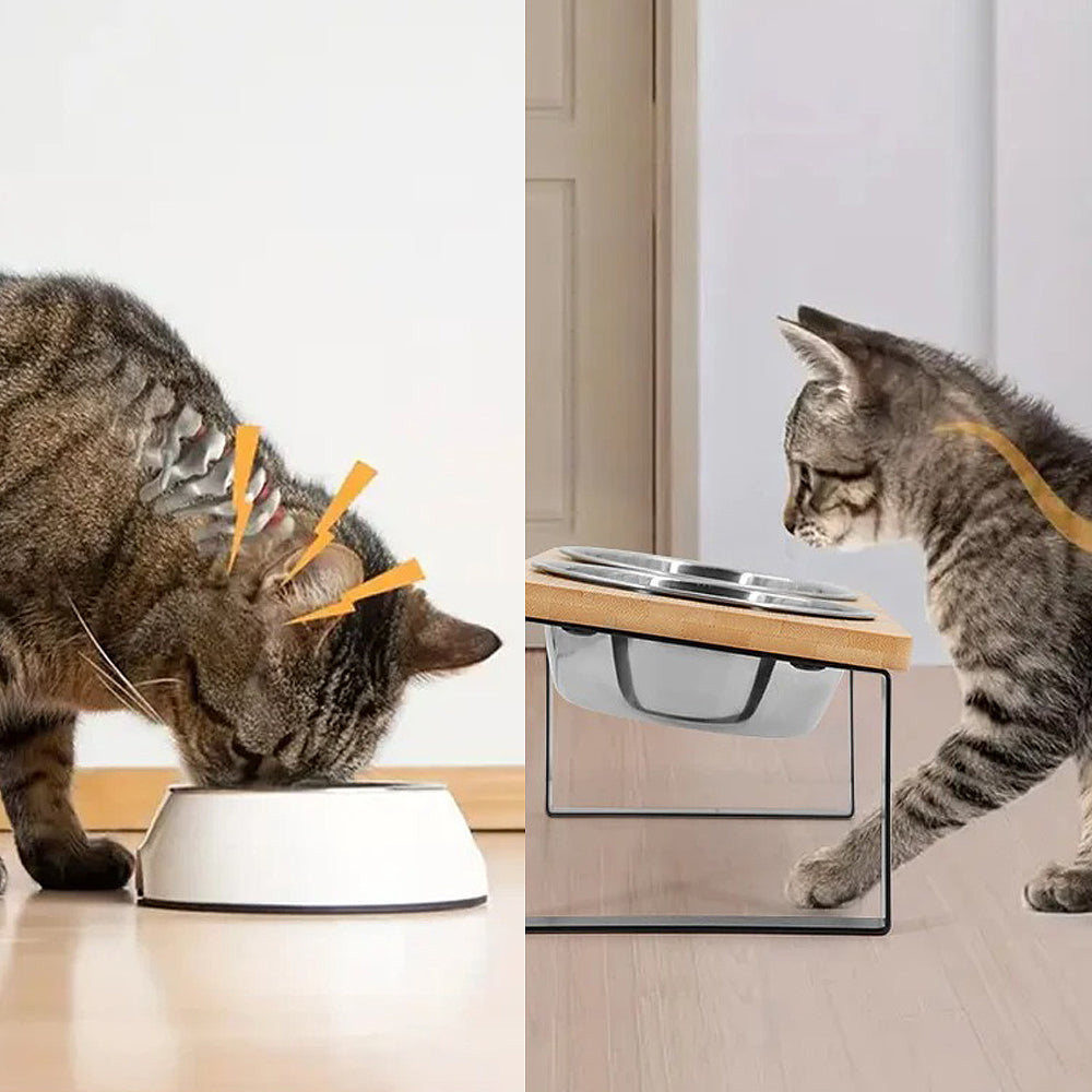 Gamelle orthopédique chat sur support incliné 15°
