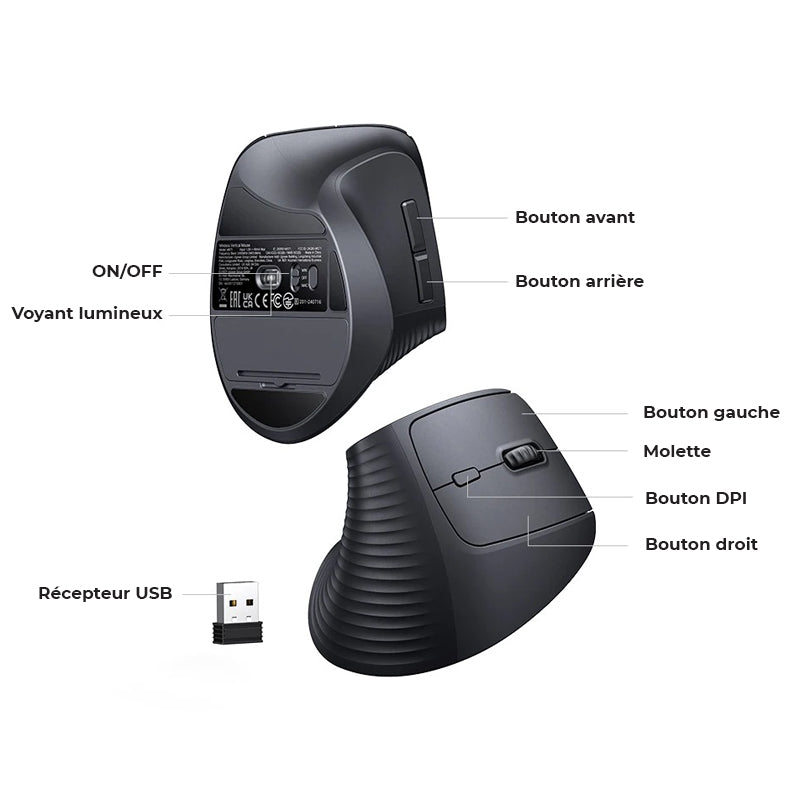 Souris orthopédique sans fil ergonomique Bluetooth