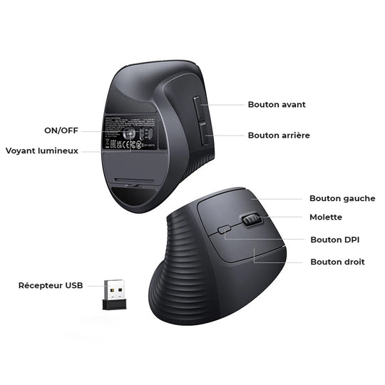 Souris orthopédique sans fil ergonomique Bluetooth