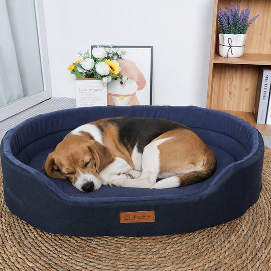 Un chien qui dort dans un panier orthopédique couleur bleu 
